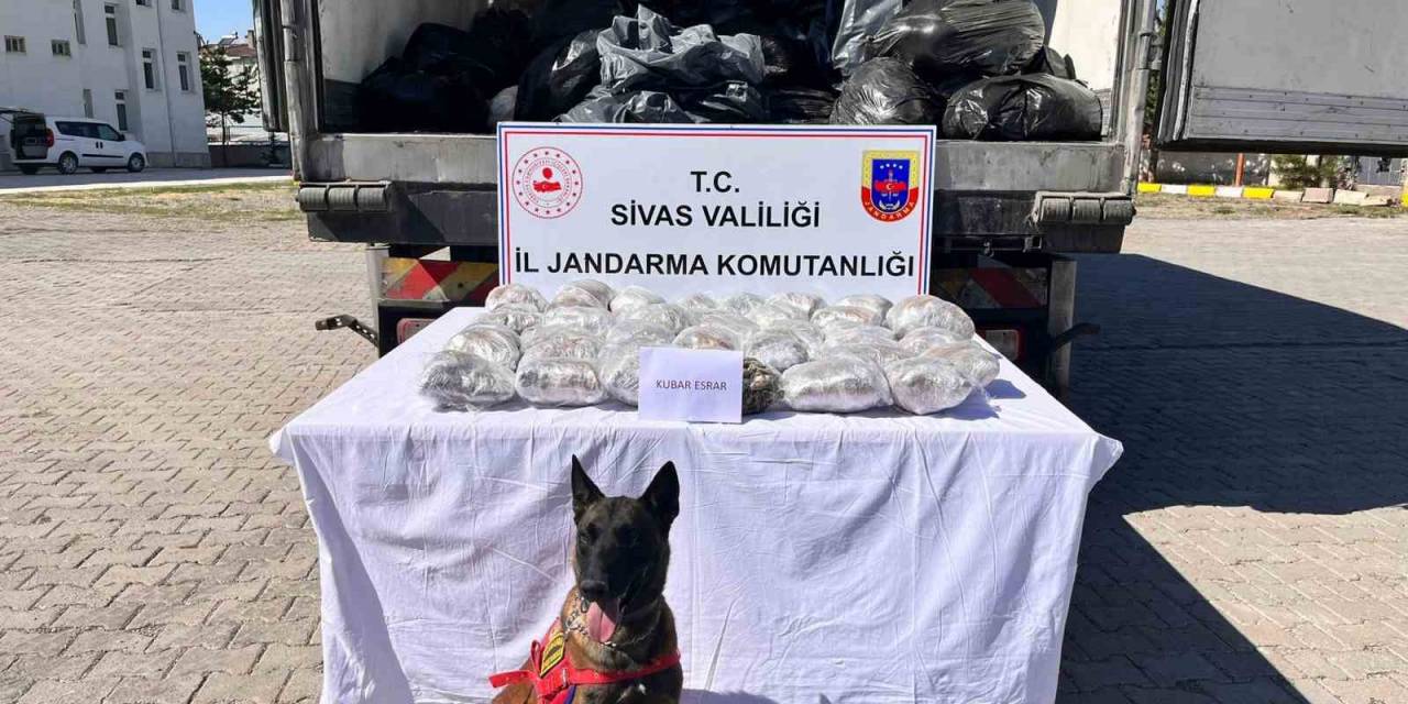 Görenleri Hayrete Düşürdü, Kayısı Kolisinden Kilolarca Uyuşturucu Çıktı