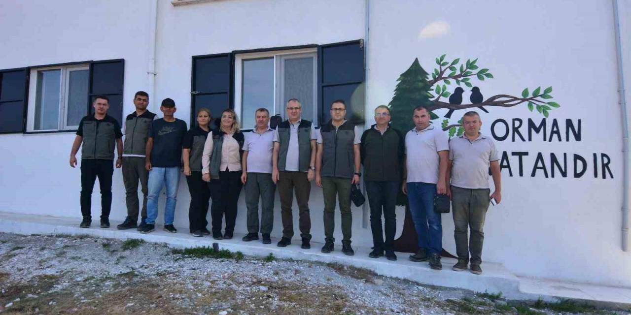 Orman Yangın Gözetleme Kuleleri Yenileniyor