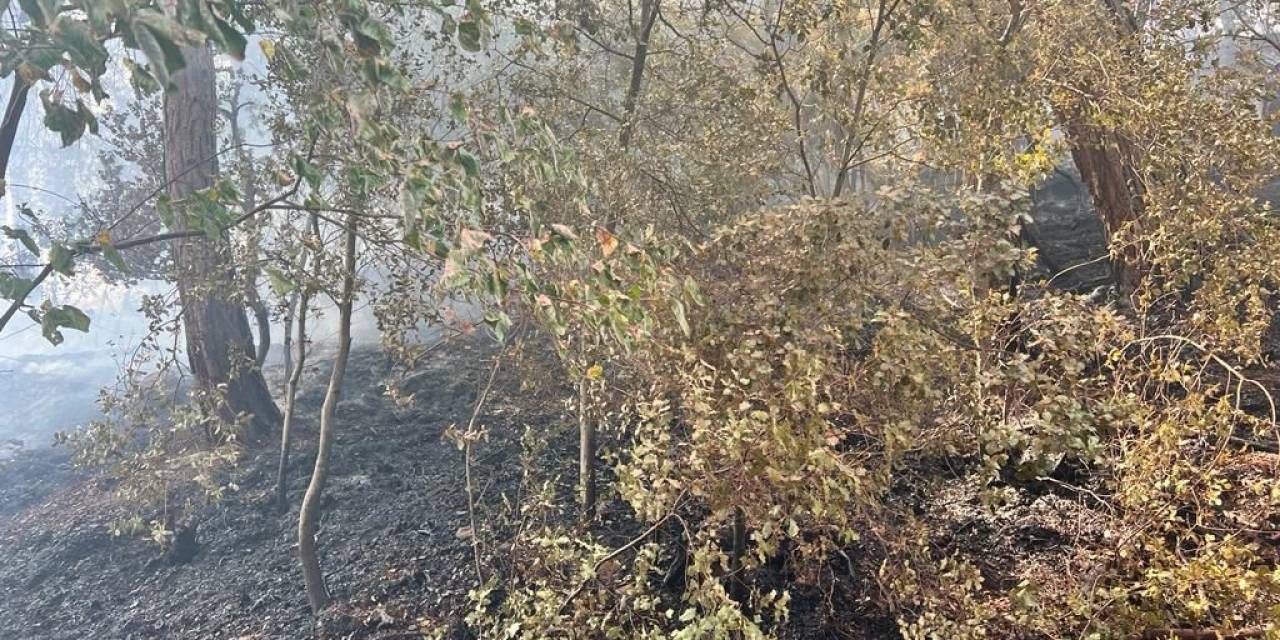 Adana’daki İki Orman Yangınından Biri Kontrol Altına Alındı