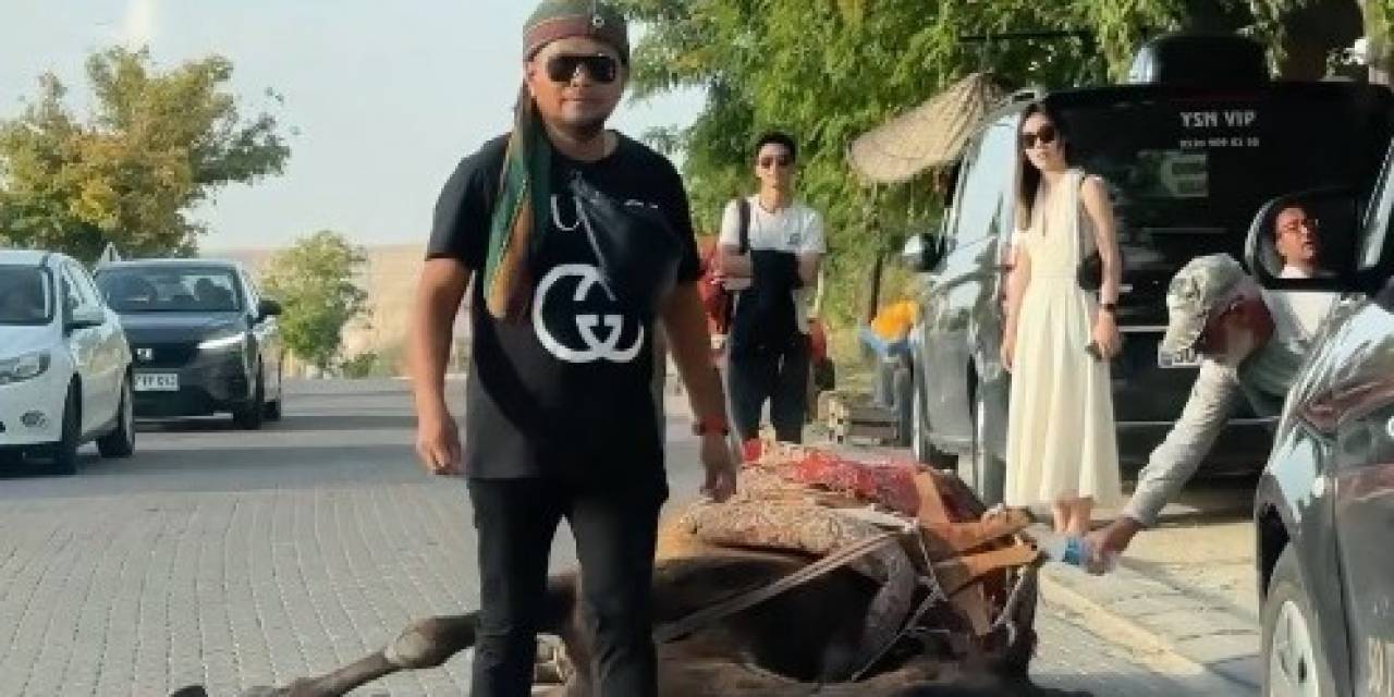 Kapadokya’da İş Yüküne Dayanamayan Deve Bayıldı