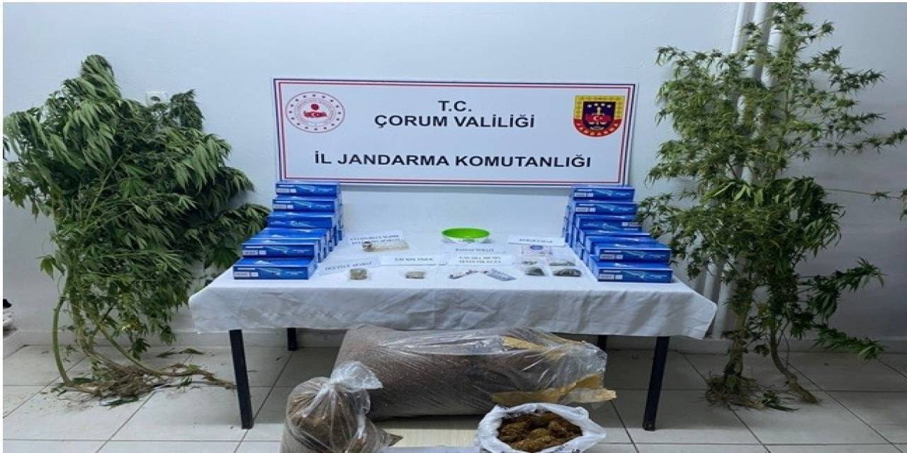 Jandarma’dan Uyuşturucu Operasyonu: 4 Gözaltı