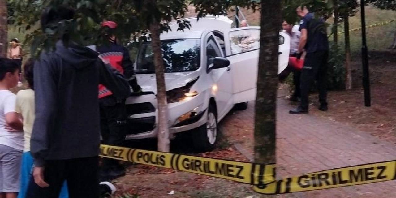 Merdivenlerden Aşağı Uçan Otomobil Ağaca Çarptı: 2 Yaralı