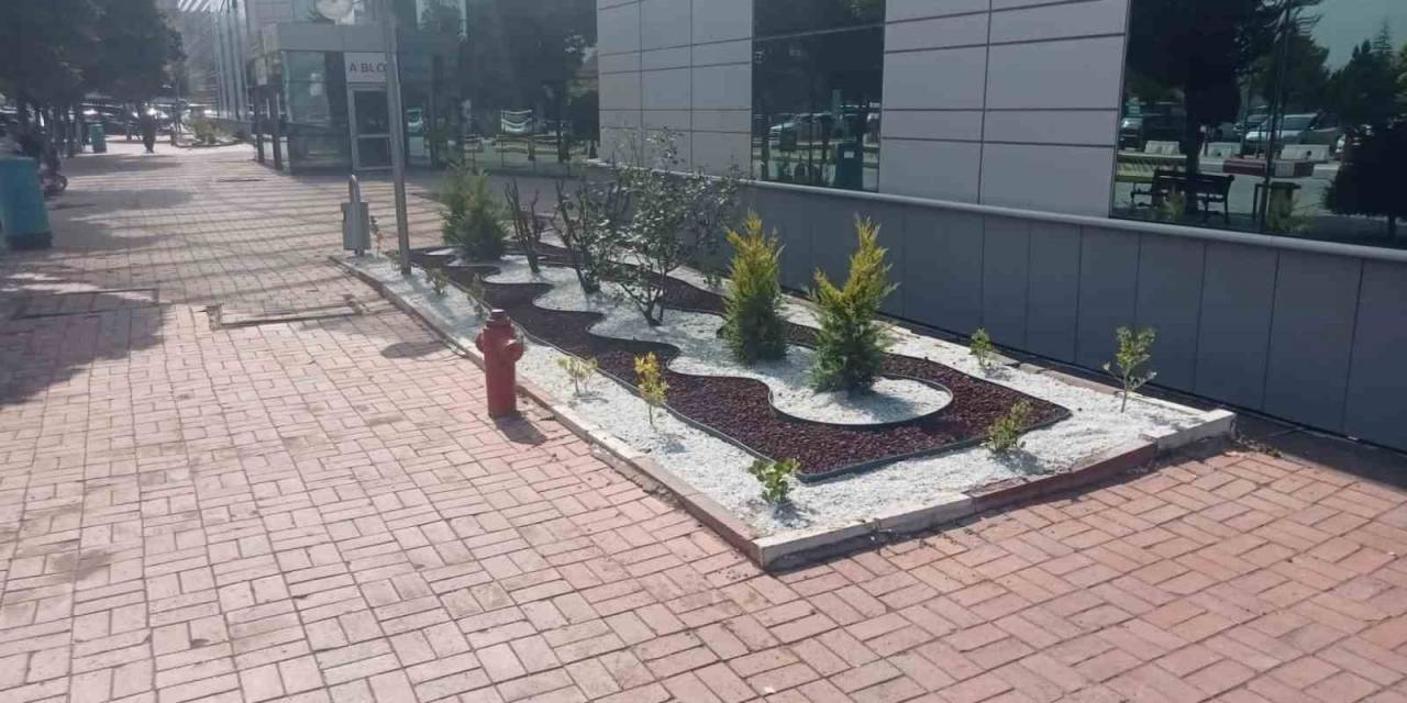 Devlet Hastanesi Çevre Düzenlemesi Sonrası Yeni Çehresine Kavuştu