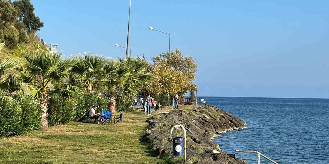 Sinop’un Dış Ticareti Yüzde 26,1 Arttı