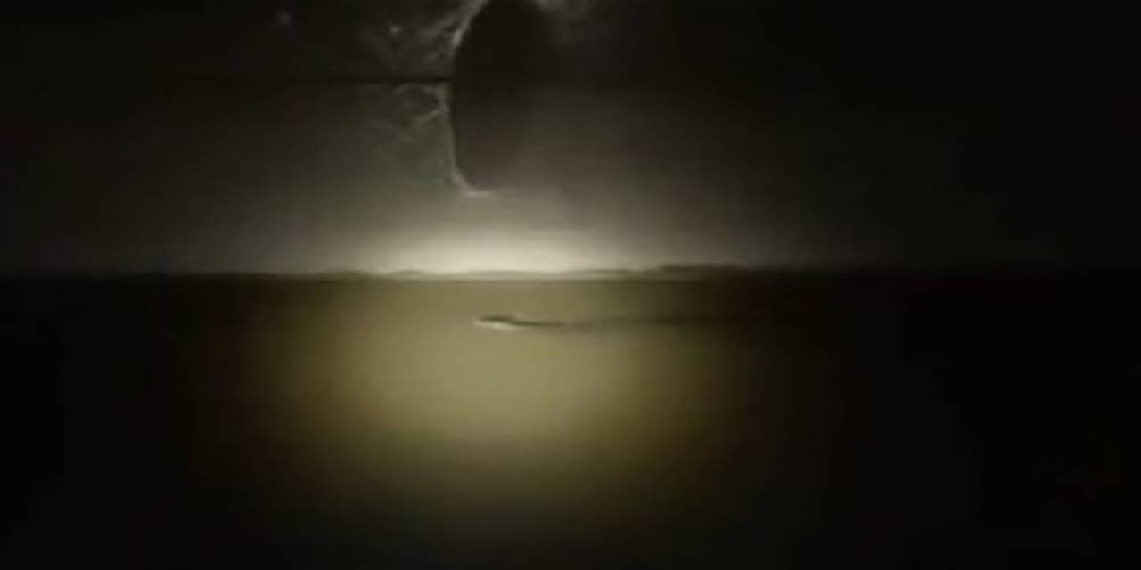 Diyarbakır’da Nesli Tükenmekte Olan ’su Samuru’ Görüldü