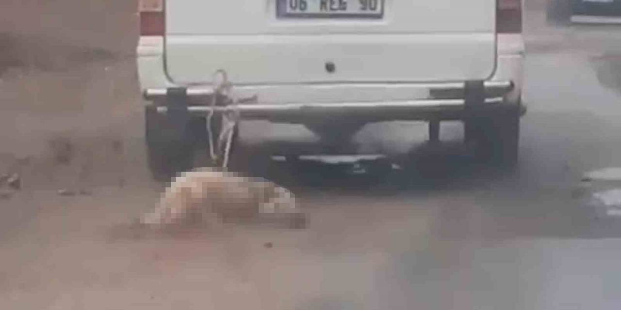 Minibüsün Arkasına Bağladığı Köpeği Dakikalarca Sürükledi