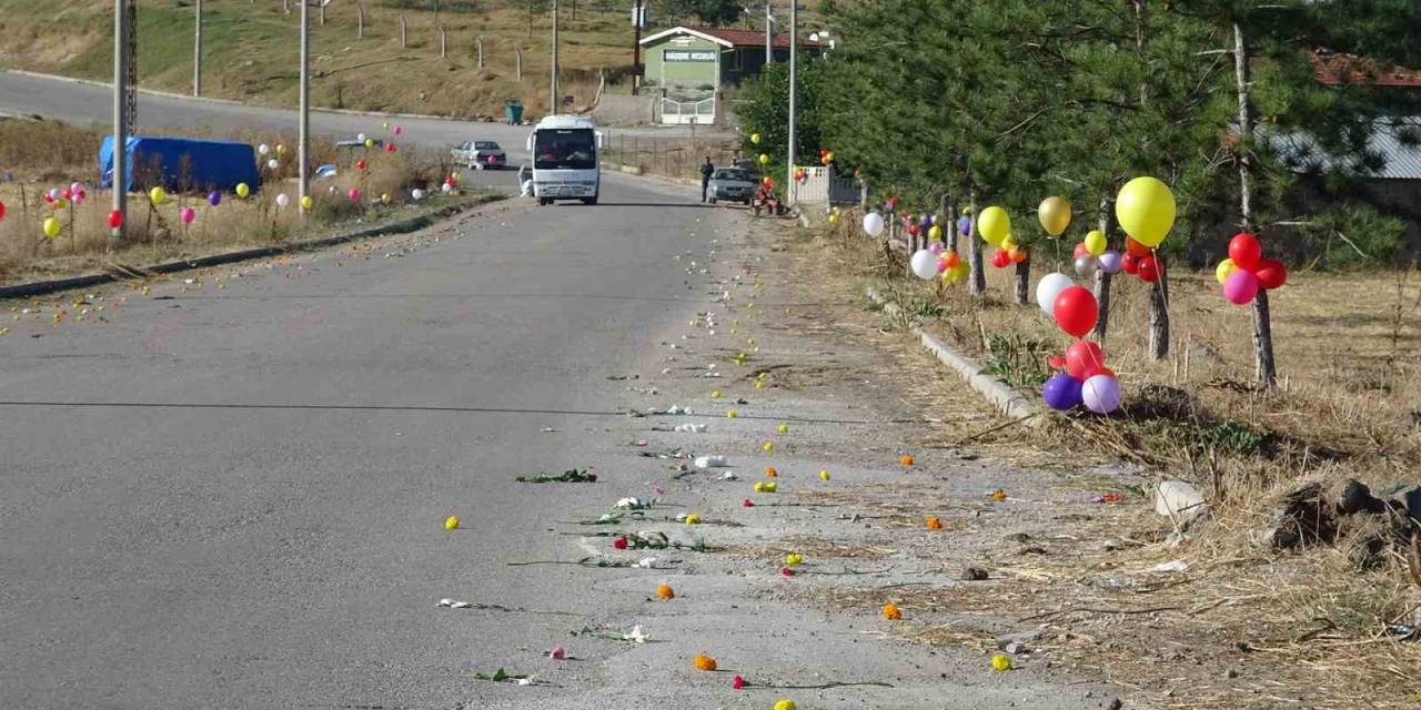 Tavşanlı’da İlginç Bir Sürpriz