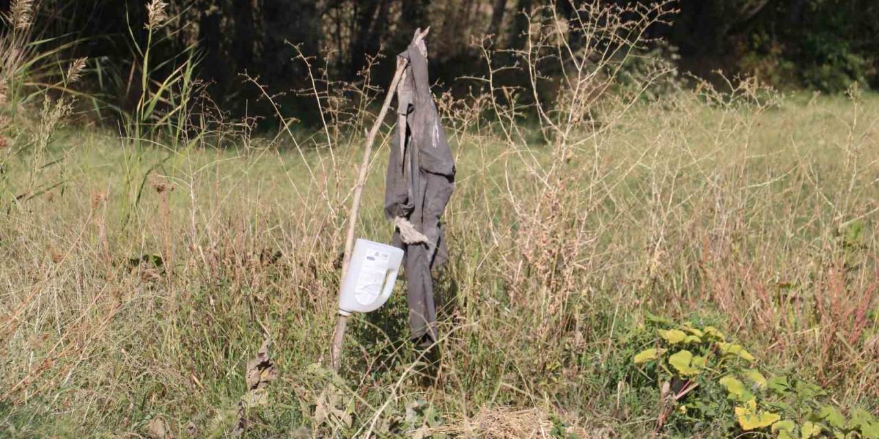 Köylüler Korkudan Tarlaya Gidemiyor, Karşılaşmamak İçin Dua Ediyorlar