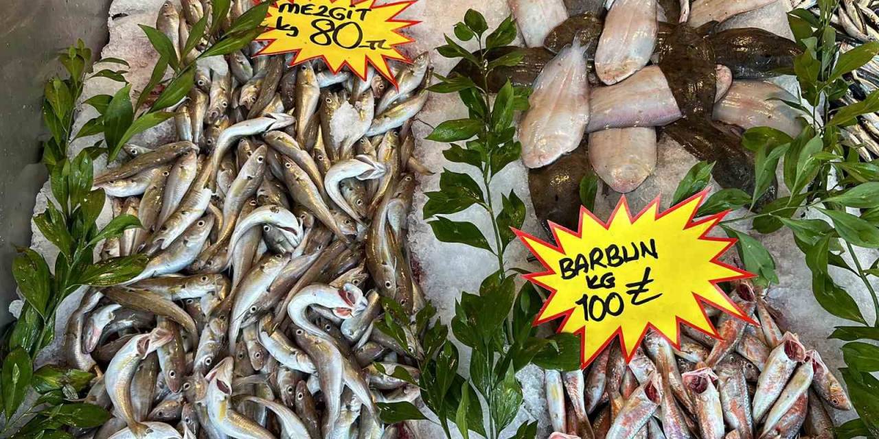 150 Liraya Kadar Çıkan Hamsi, 50 Liraya Düştü