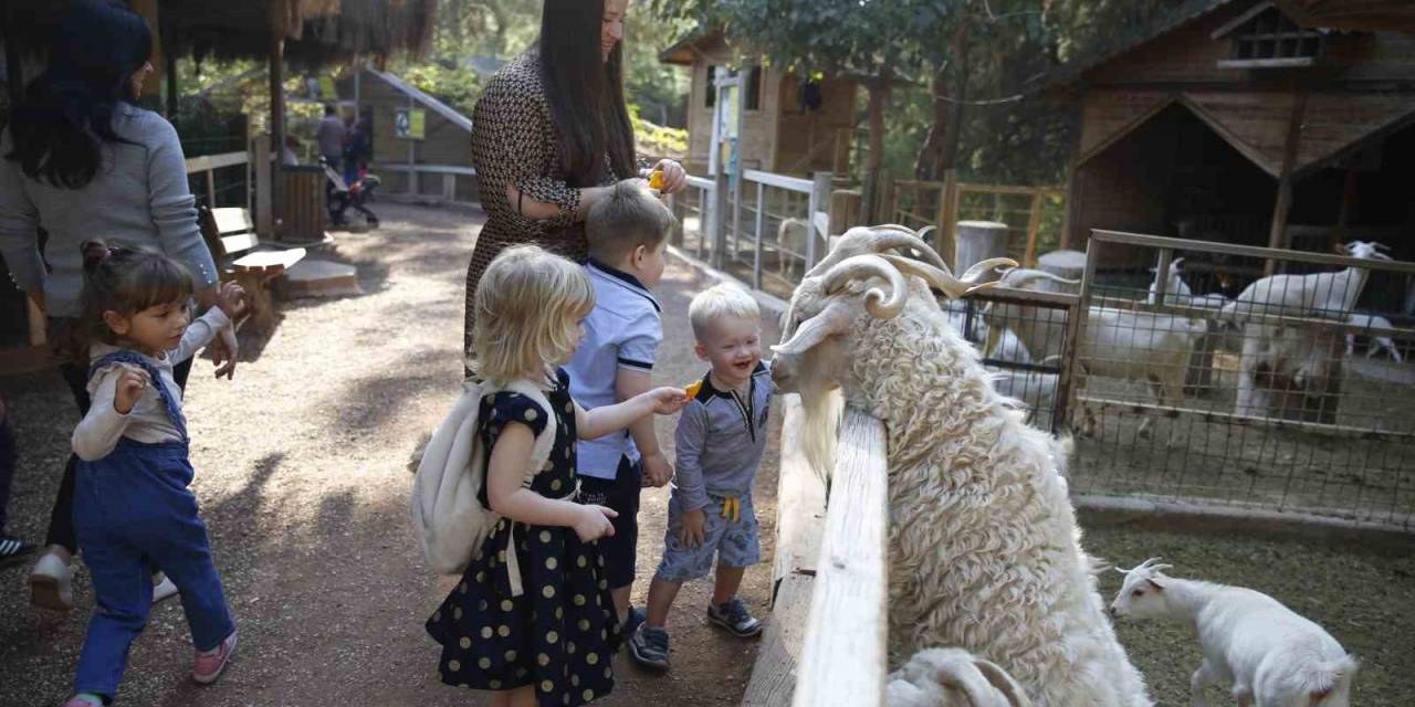 Antalya Doğal Yaşam Parkı 4 Ekim’de Ücretsiz