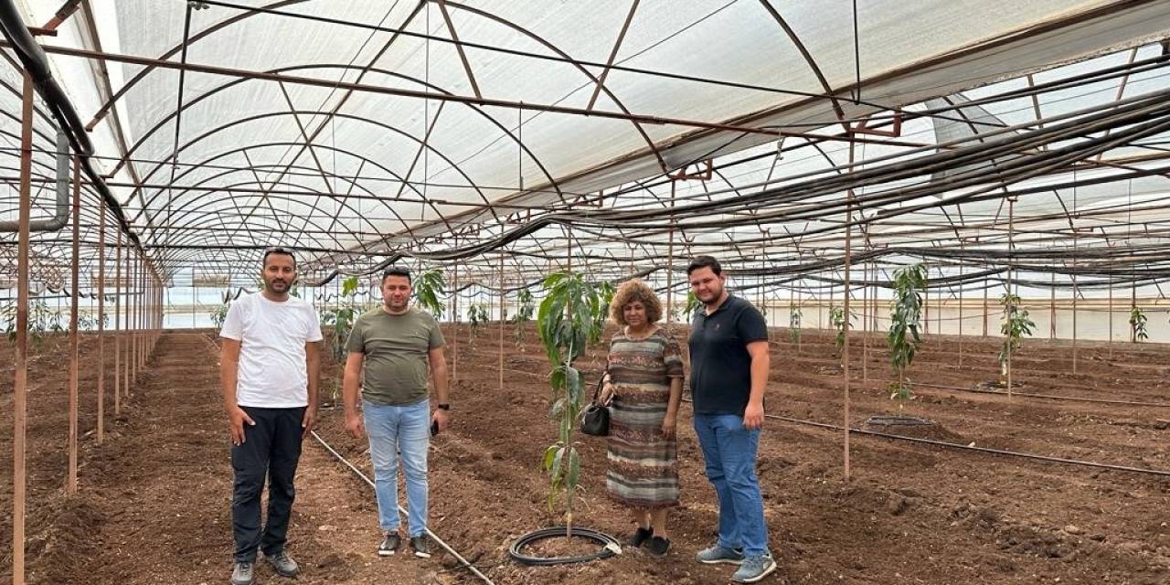 Kumluca’da Tropik Meyve Yetiştiriciliği Eğitimi