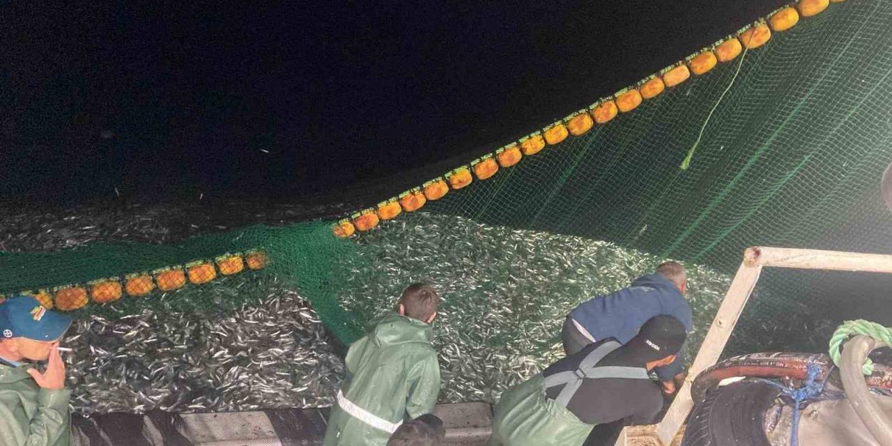 Çanakkale Boğazı’nda 30 Ton Sardalya Yakaladı