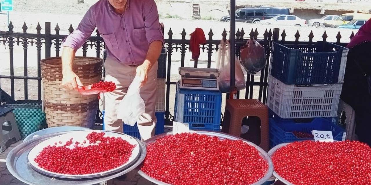 Vitamin Deposu Kızılcık Tezgahlarda Yerini Aldı