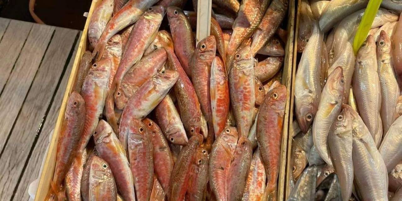 Tezgahlarda Balık Bolluğu