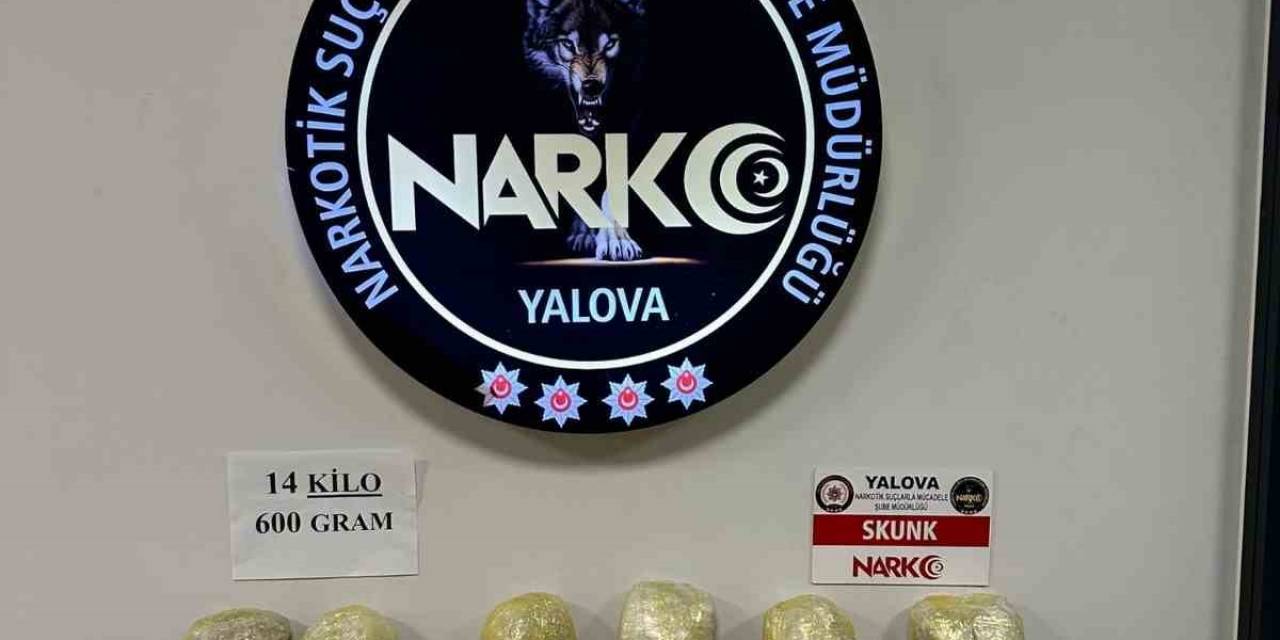 Yalova’da 14 Kilo 600 Gram Skunk Ele Geçirildi