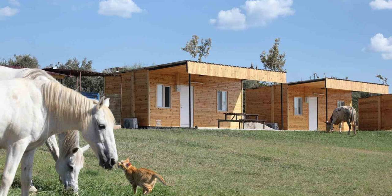 Mutlu Yaşam Köyü Konaklama Kapasitesini Artırdı