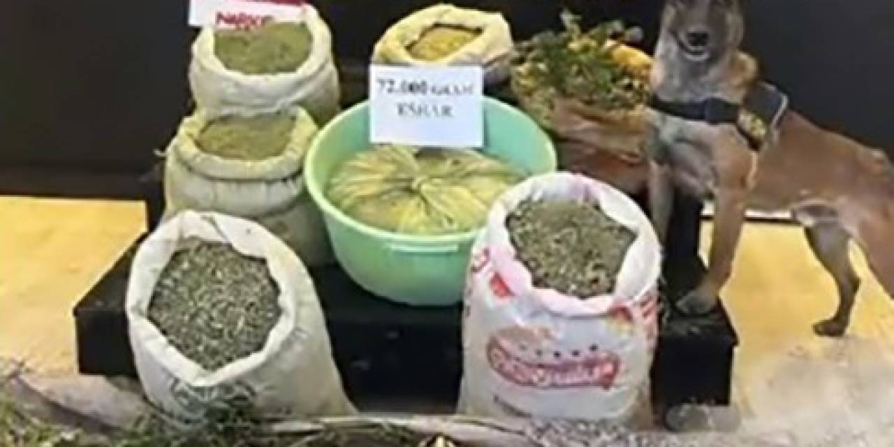 Yüksekova’da 72 Kilo Esrar 90 Kök Kenevir Ele Geçirildi