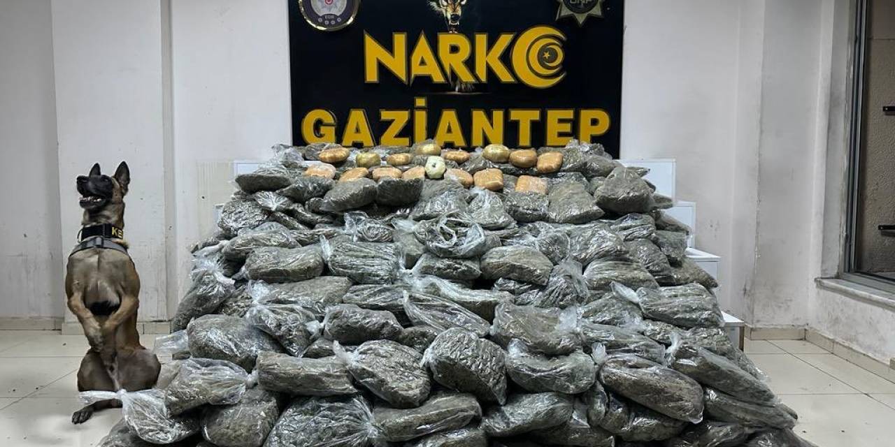 Gaziantep’te 170 Kilogram Skunk Ele Geçirildi