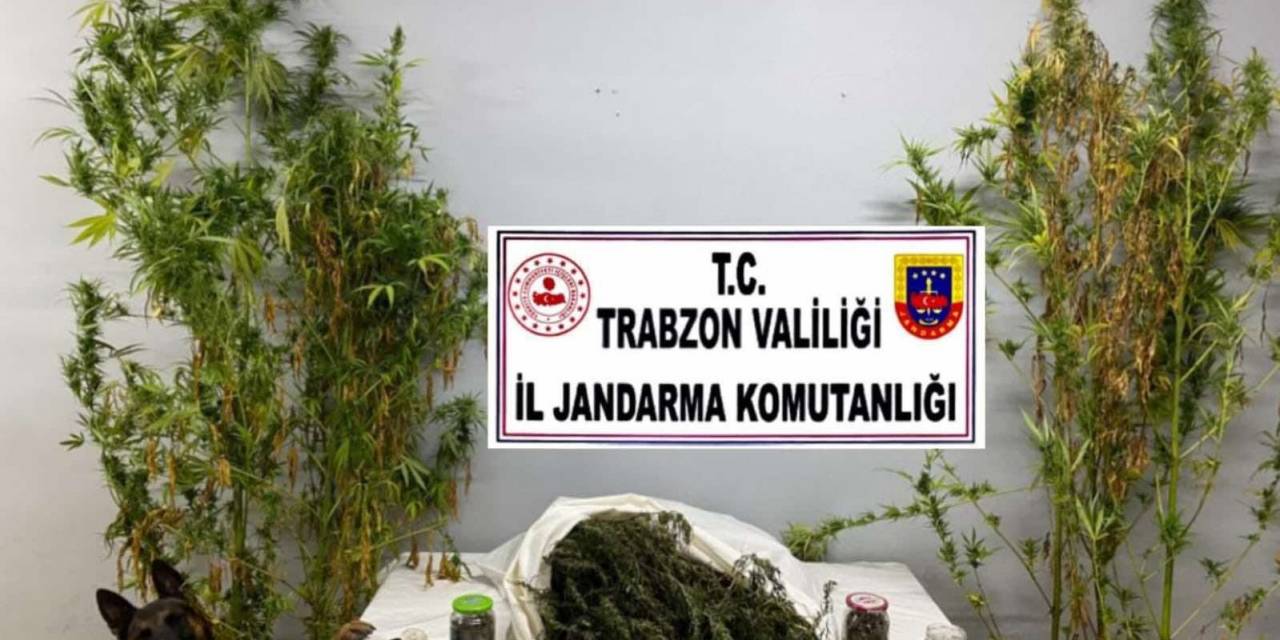 Trabzon’da Uyuşturucu Operasyon: 3 Gözaltı