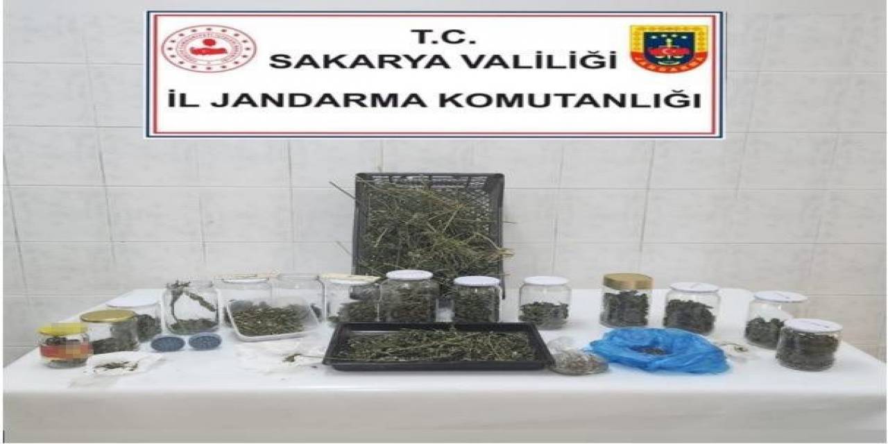 Sakarya’da 70 Kilo Kubar Esrar Ele Geçirildi: 7 Tutuklama