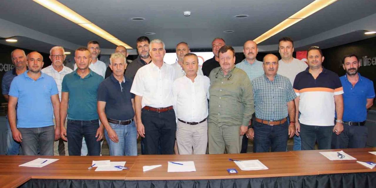 Zeytinde Yüzde 50 Oranında Rekolte Kaybı Yaşandı