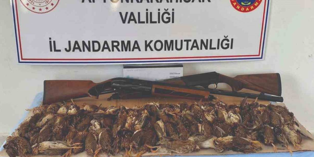 77 Bıldırcını Kaçak Avlayan İki Kişiyi Jandarma Yakaladı