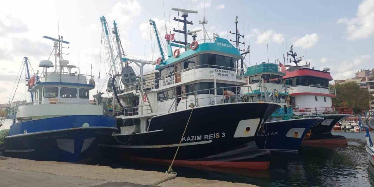 Hamsi Bolluğu Tayfaları Marmara’ya Akın Ettirdi