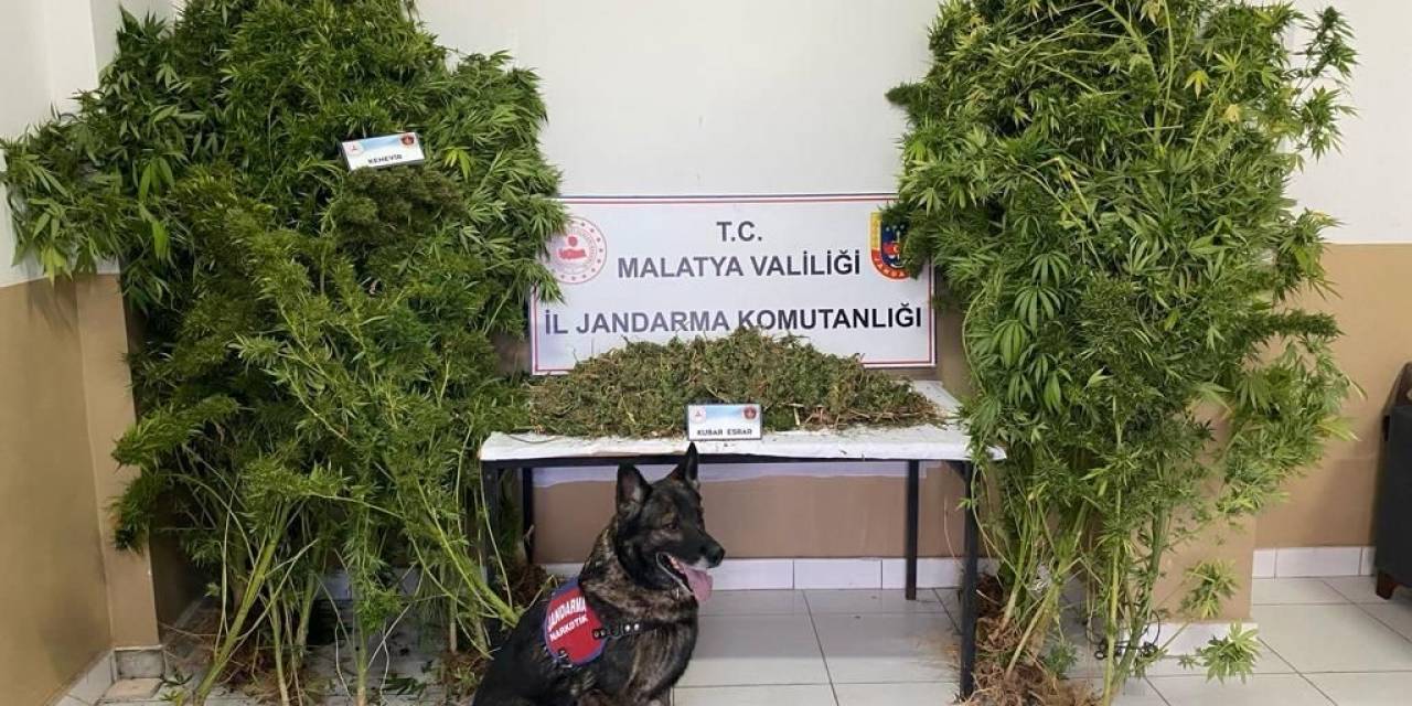 Jandarmadan Uyuşturucu Operasyonu: 2 Tutuklama