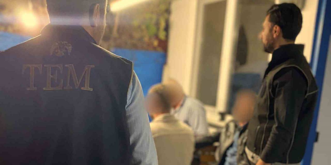Sinop’ta Kumar Denetimi