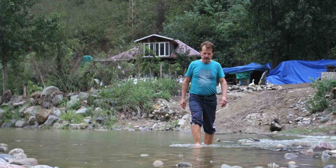 Macera Parkuru Gibi Ev Yolu