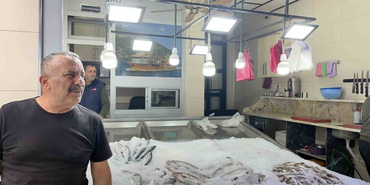 Deniz Suyu Sıcaklığı Balık Avını Olumsuz Etkiliyor