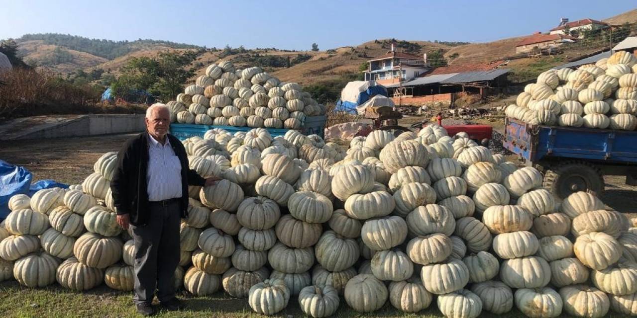 Bilecik’te Kestane Kabağı Üretiminde Bu Yıl Rekor Artış Yaşandı