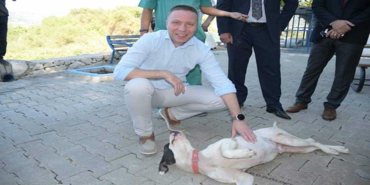 Hayvan Hakları İçin Milas Kaymakamı Böke Sahada