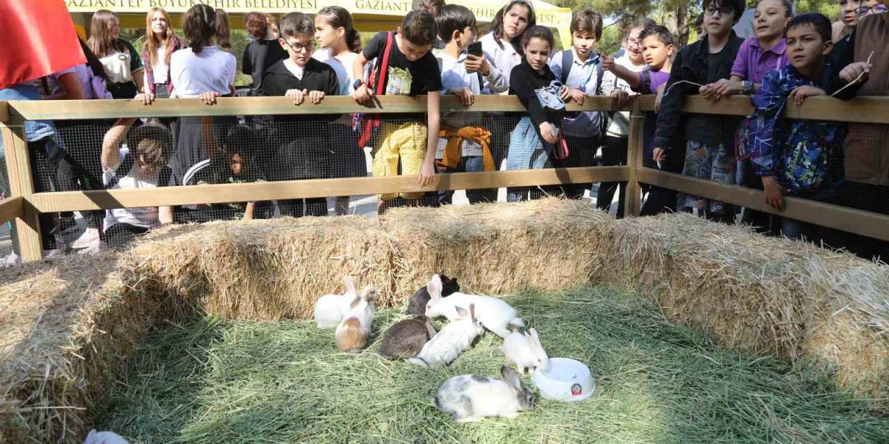 Gaziantep Büyükşehir, Dünya Hayvanları Koruma Günü’nde Farkındalığa Dikkat Çekti