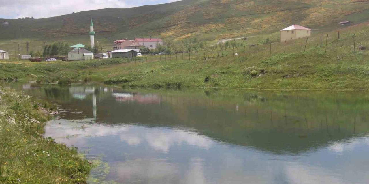 Trabzon’da Yaylalara Yapılan Yapay Göletler Yayla İklimlerini De Yumuşattı