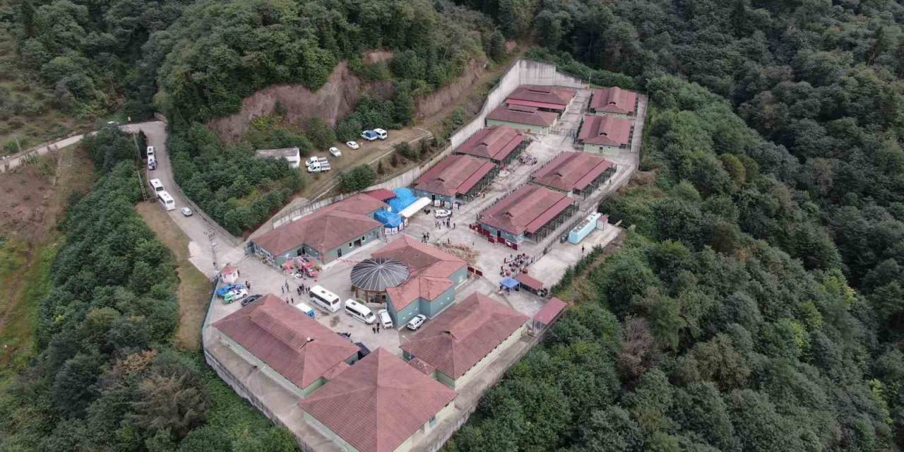 4 Ekim Dünya Hayvanları Koruma Günü’nde Sokak Hayvanları İle Vakit Geçirdiler