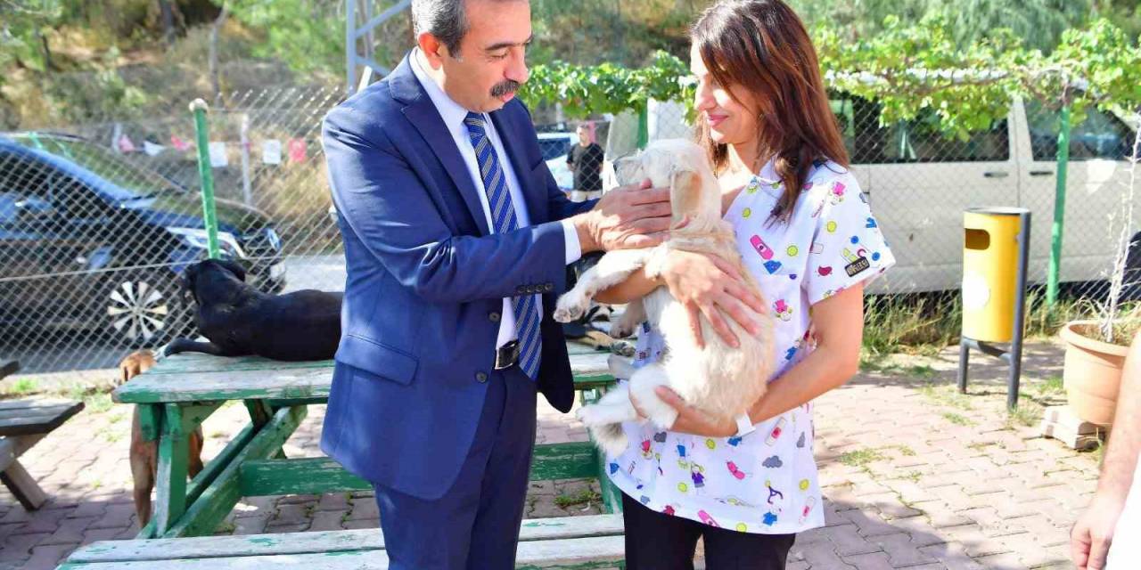Çukurova Belediyesi Can Dostlara Sahip Çıkıyor