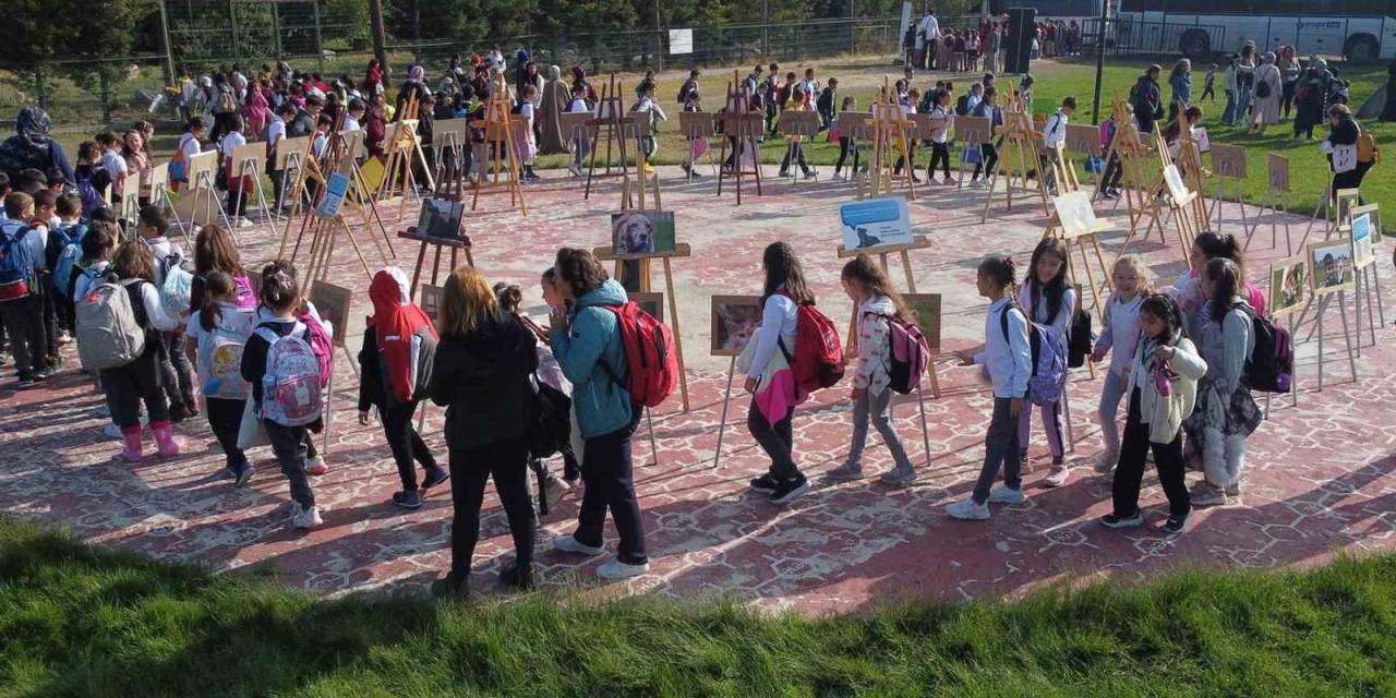 Hayvanları Koruma Günü’nde Anlamlı Etkinlik