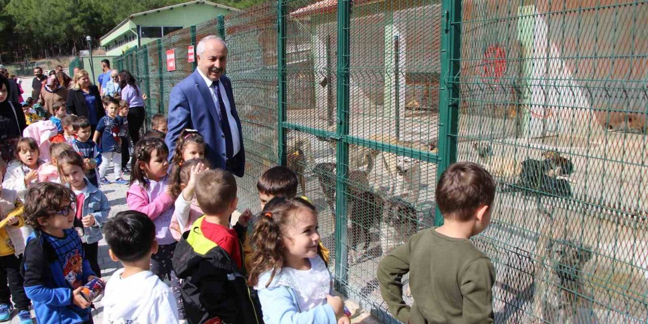 Amasya Belediyesi Hayvan Barınağına Veteriner Hekimler Odası Başkanından Tam Puan: “Gezerken Gurur Duyuyorum”