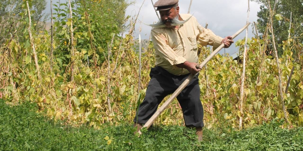 Ne Kalp Krizi Ne Ayı Dinledi: Meşhur Pala Sıhhatine Çalışmayla Kavuştu