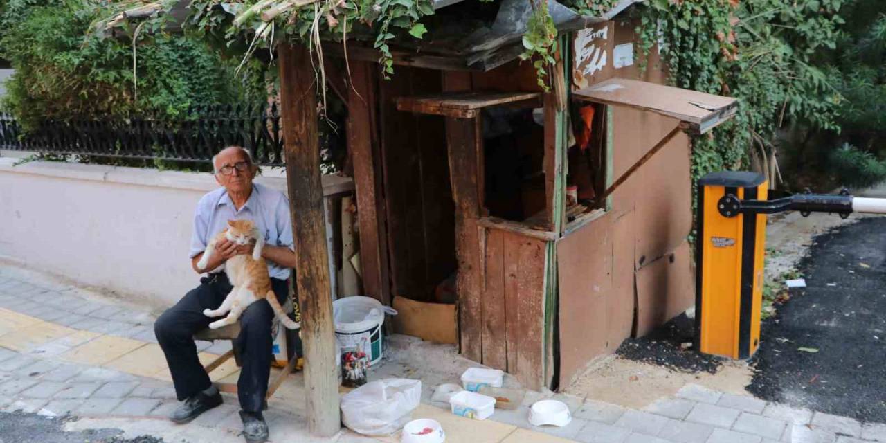 Kulübede Geçen Bir Ömür