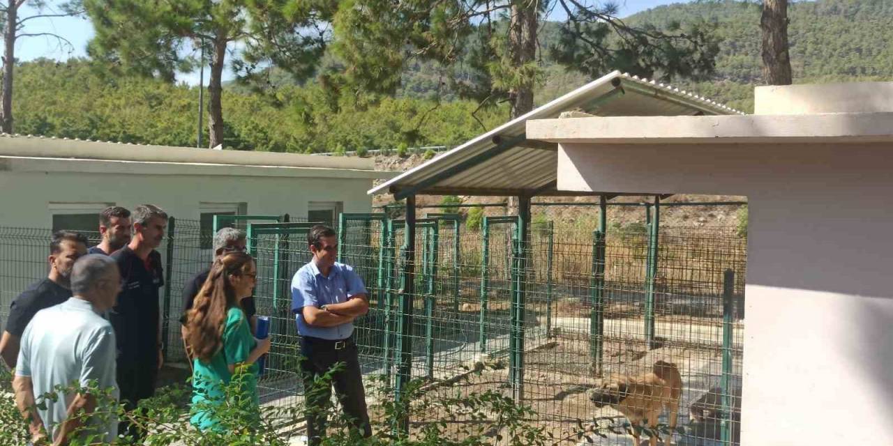 Topsakaloğlu: "Hayvanları Koruma Bilinci, Toplumsal Duyarlılık Ve Empati İle Şekillenir"