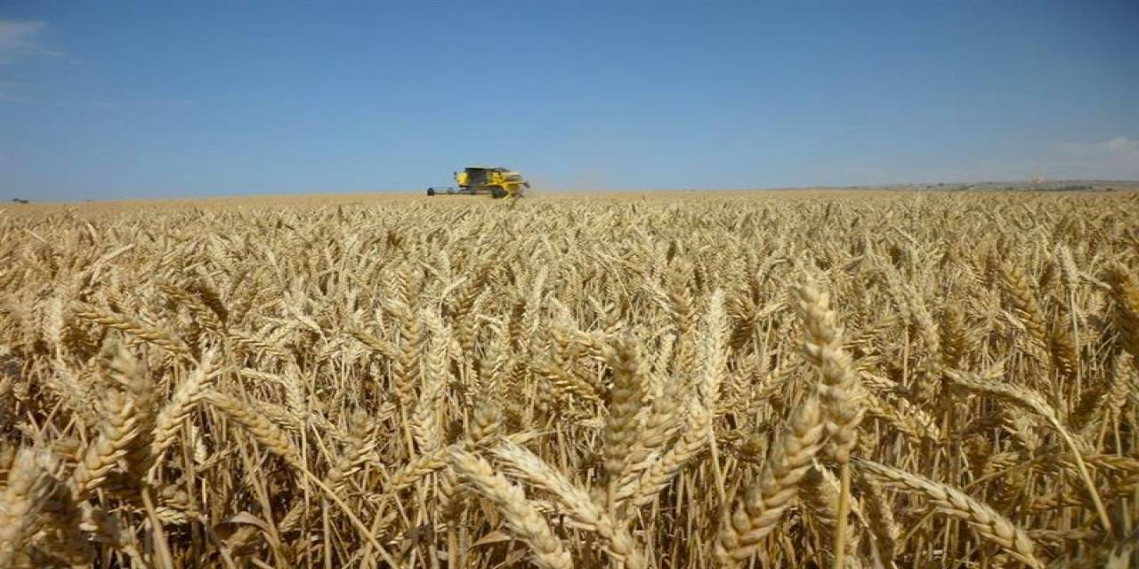 Çiftçiler Aldıkları Eğitimlerle Daha Verimli Üretim Yapacak