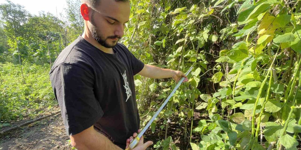 Endonezya’dan Getirdi, Taleplere Yetişemiyor