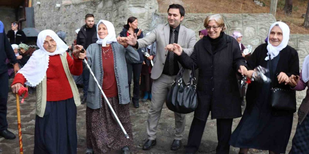 Ninelerin Piknik Buluşması