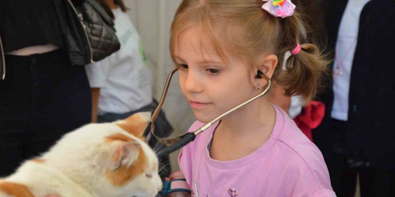 Öğrenciler Sokak Hayvanlarını Unutmadı