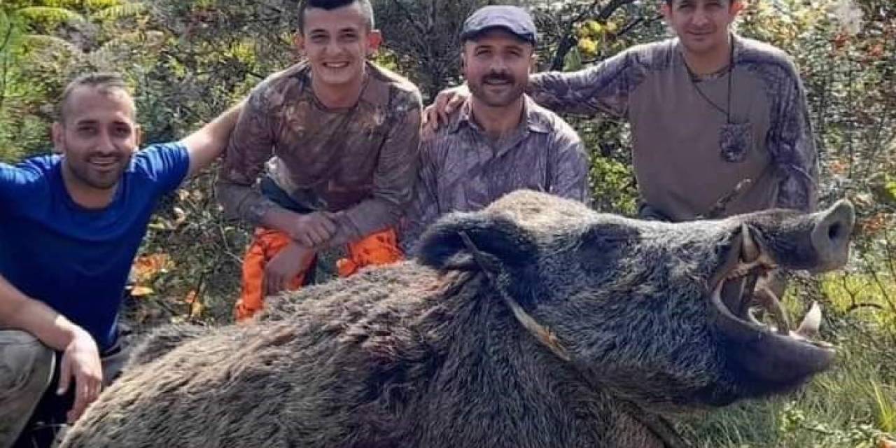 Bartın’da Üreticinin Domuz Seferberliği