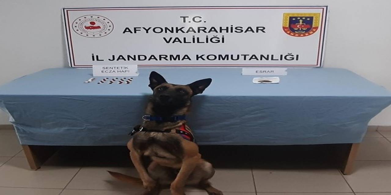Jandarmadan Uyuşturucu Baskını