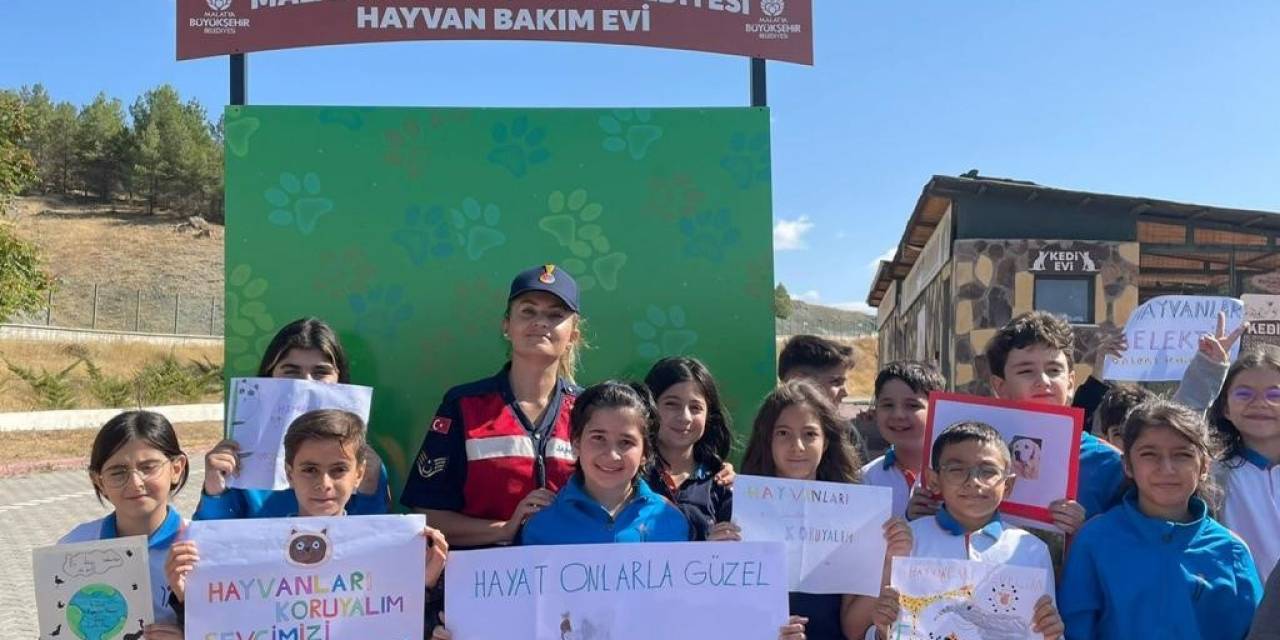 Öğrenciler Hayvan Barınağını Gezdi