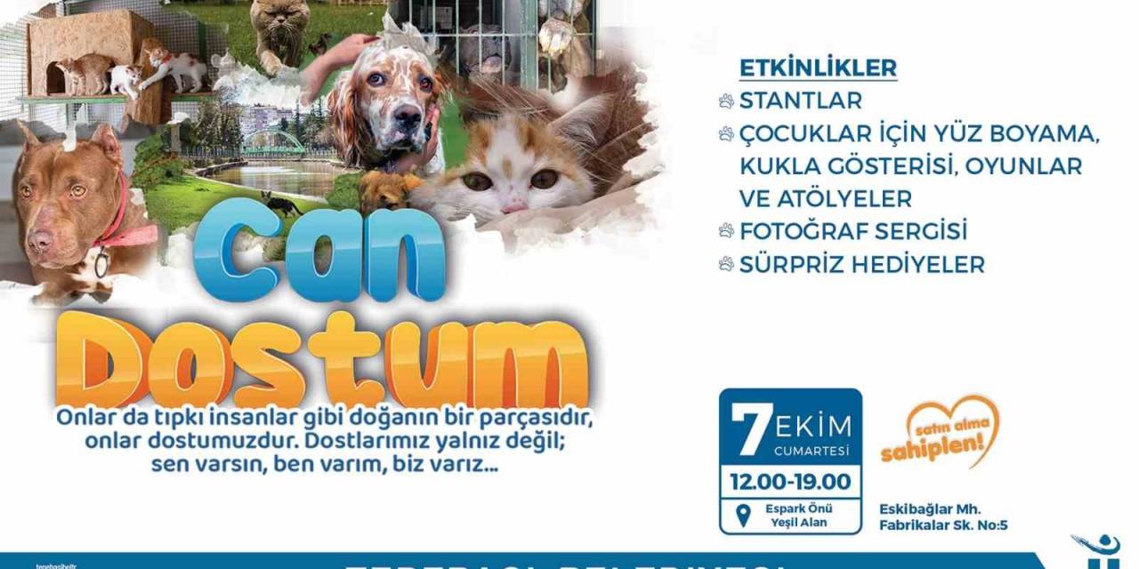 Can Dostlar İçin Farkındalık Oluşturulacak